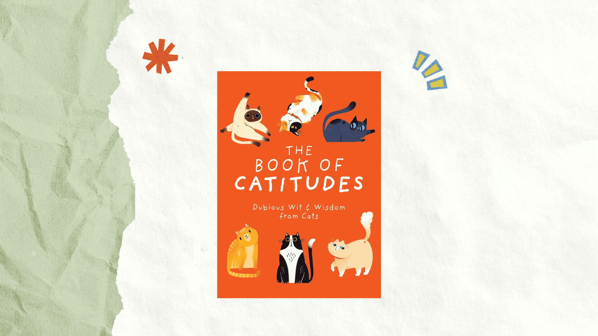 The Book of Catitudes封面