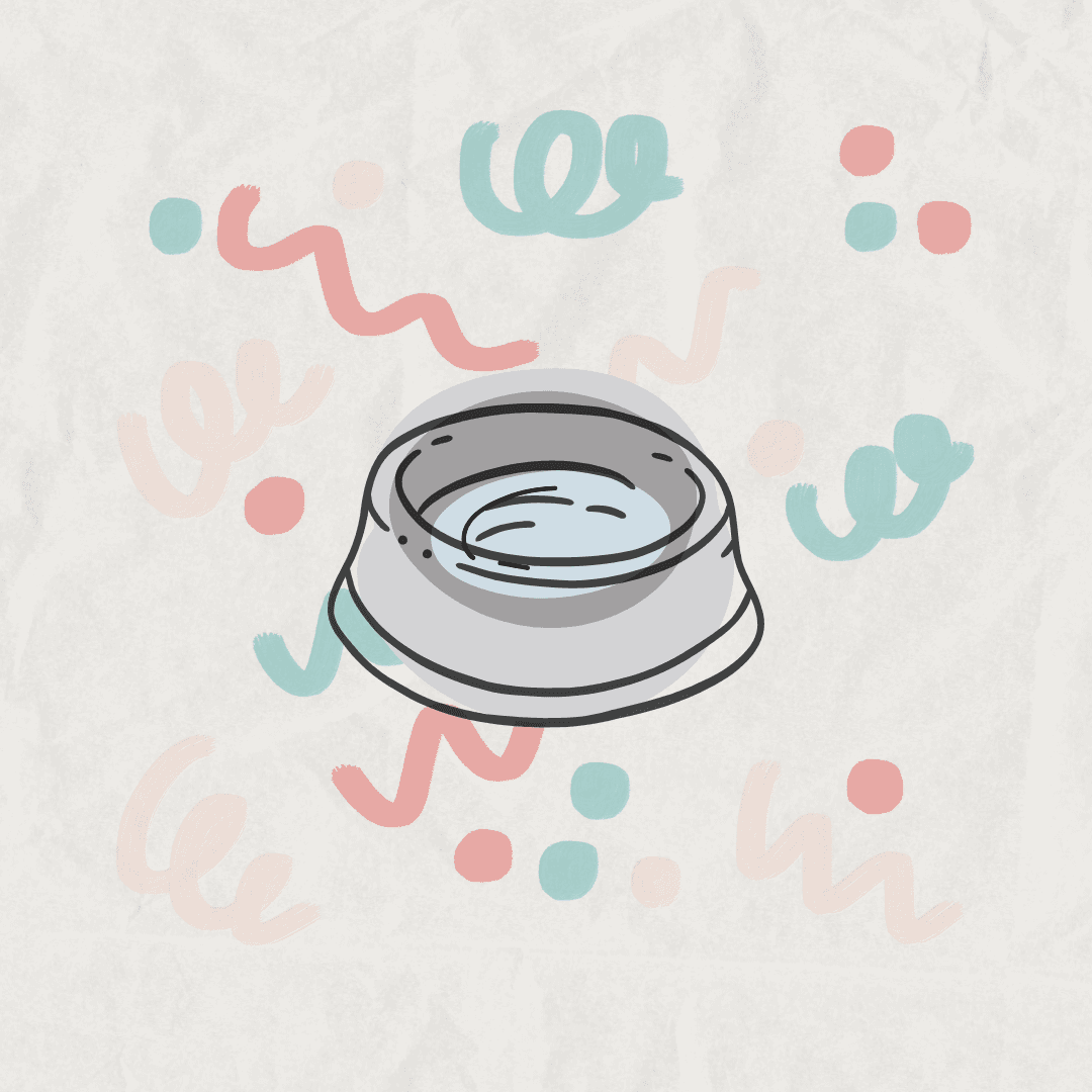 一個讓我放棄的工具：寵物飲水機