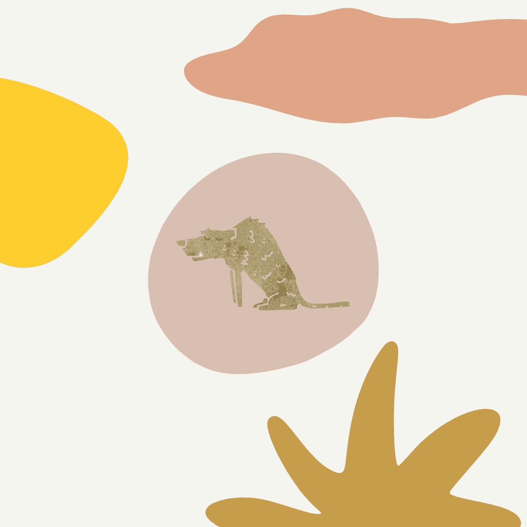 當老狗站不起來的那一天，我們重新學習一起生活