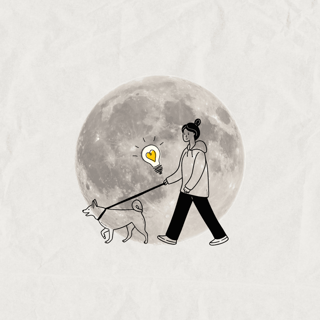 頭燈當遛狗燈：夜晚散步的一個小技巧