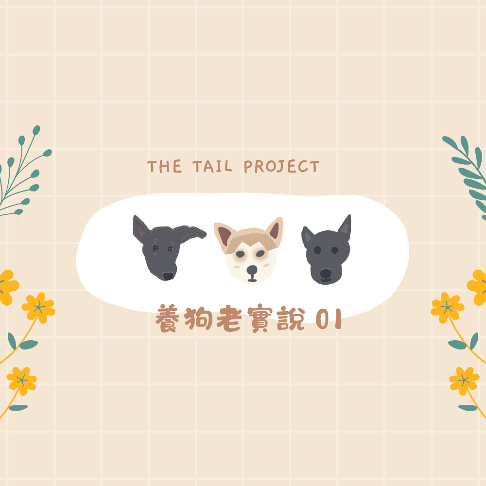 以為他是乖寶寶，其實是快充狗