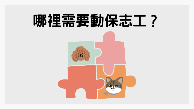 動保志工需求整理
