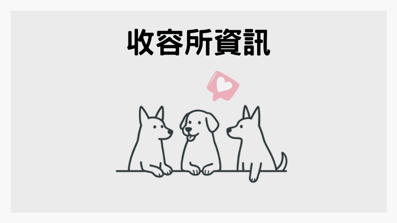 收容所犬貓領養清單