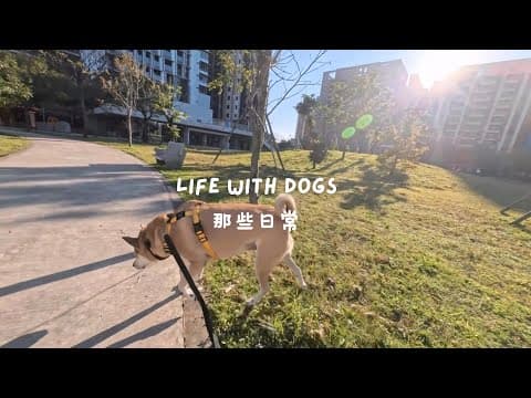 那些日常|Life with Dogs 影片縮圖